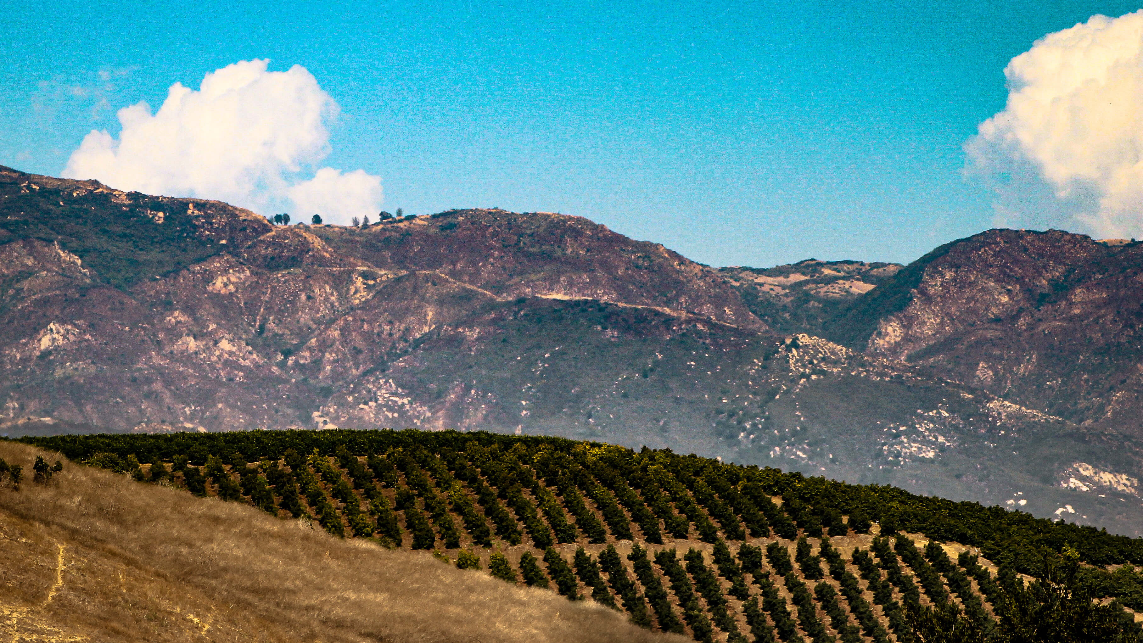 A photograph of the Santa Ynez mountains, as seen from Goleta, California