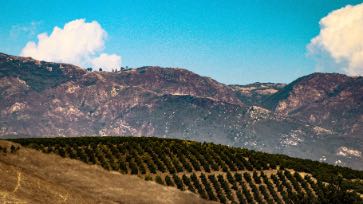 A photograph of the Santa Ynez mountains, as seen from Goleta, California