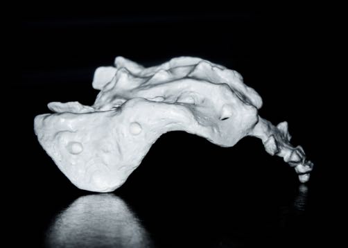 A photograph of a sacrum on a black background